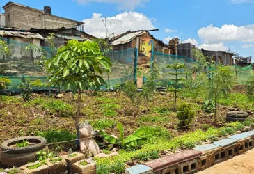 Youth and Urbanism community work in Mathare